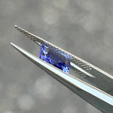 #OP28 天然蛋白石 1.38ct