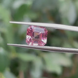 #PT10 天然ピンクトルマリン 2.70ct