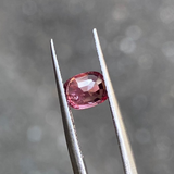 #SN5 天然スピネル 0.92ct