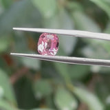 #PT7 天然ピンクトルマリン 1.06ct