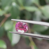#PT1 天然ピンクトルマリン 1.70ct