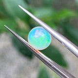 #OP4 天然蛋白石 1.14ct