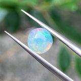 #OP5 天然蛋白石 1.14ct