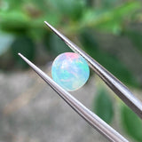 #OP5 天然蛋白石 1.14ct