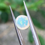 #OP5 天然蛋白石 1.14ct