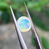 #OP5 天然蛋白石 1.14ct