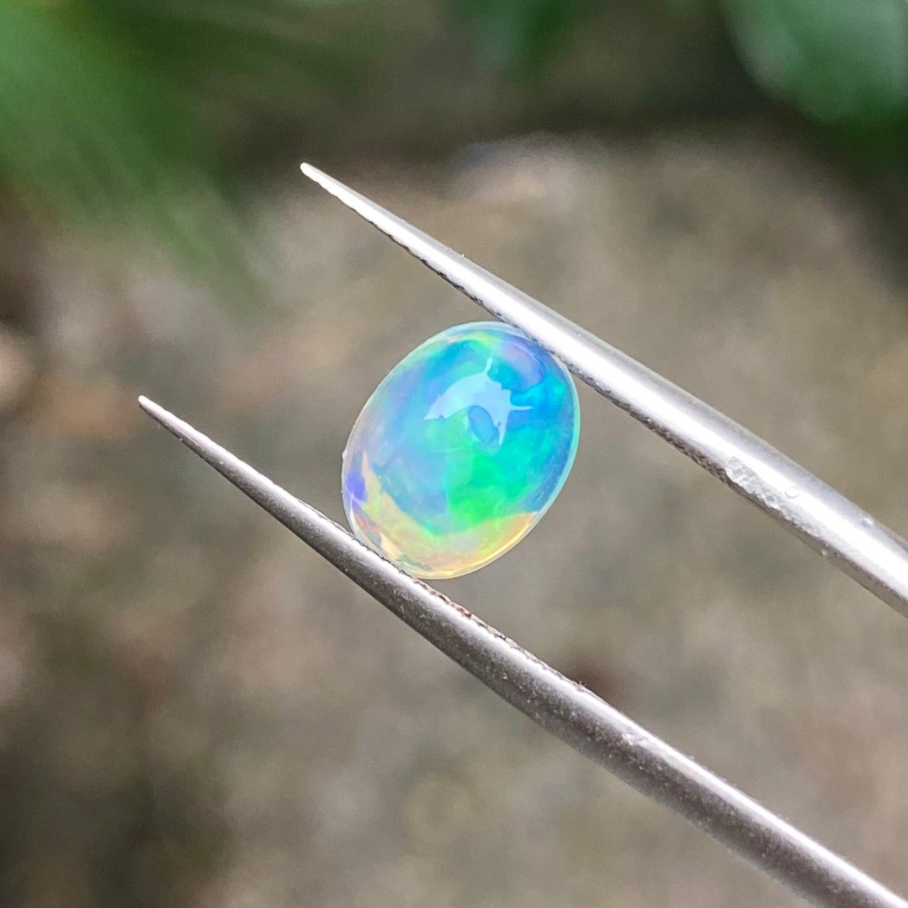 【オンライン限定商品】  Opal – RYUHO ONLINE アクセサリー