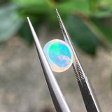 #OP10 天然蛋白石 1.14ct