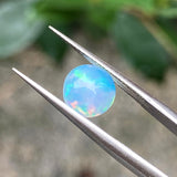 #OP10 天然蛋白石 1.14ct