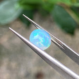 #OP10 天然蛋白石 1.14ct