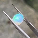 #OP11 天然蛋白石 1.48ct