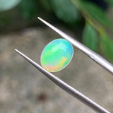 #OP14 天然蛋白石 1.30ct