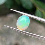 #OP14 天然蛋白石 1.30ct