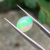 #OP14 天然蛋白石 1.30ct