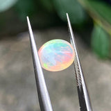 #OP14 天然蛋白石 1.30ct