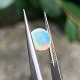 #OP14 天然蛋白石 1.30ct
