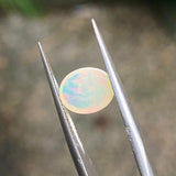 #OP15 天然蛋白石 1.28ct