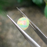 #OP16 天然蛋白石 1.36ct