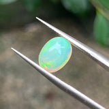 #OP16 天然蛋白石 1.36ct