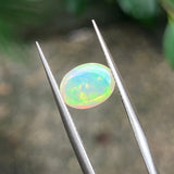 #OP16 天然蛋白石 1.36ct