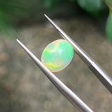#OP16 天然蛋白石 1.36ct