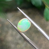 #OP16 天然蛋白石 1.36ct