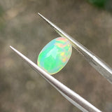 #OP17 天然蛋白石 1.42ct