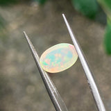 #OP17 天然蛋白石 1.42ct