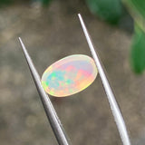 #OP17 天然蛋白石 1.42ct