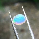 #OP19 天然蛋白石 1.50ct