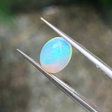 #OP19 天然蛋白石 1.50ct