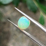 #OP22 天然蛋白石 1.38ct