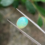 #OP22 天然蛋白石 1.38ct