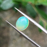 #OP22 天然蛋白石 1.38ct