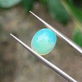 #OP22 天然蛋白石 1.38ct