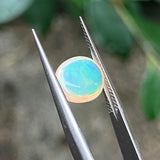 #OP22 天然蛋白石 1.38ct
