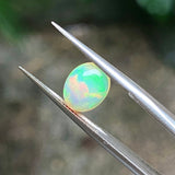 #OP24 天然蛋白石 1.32ct