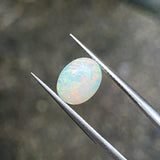 #OP25 天然蛋白石 1.30ct