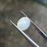 #OP25 天然蛋白石 1.30ct