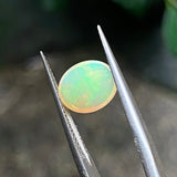 #OP26 天然蛋白石 1.12ct