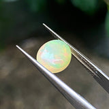 #OP26 天然蛋白石 1.12ct