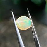 #OP25 天然蛋白石 1.30ct