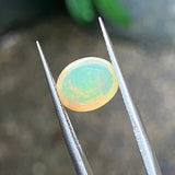#OP27 天然蛋白石 1.40ct