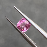 #SN13 SPINEL|尖晶石 0.72ct