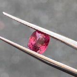 #SN7 天然スピネル 0.66ct