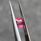 #SN7 天然スピネル 0.66ct