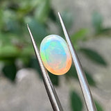 #OP1 天然蛋白石 2.14ct