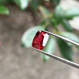 #RT1 RED TOURMALINE│紅碧璽 5.18ct
