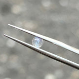 #LR-B19 天然アンデシンラブラドーライト 0.24ct