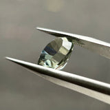 #PL6 天然プラシオライト 2.78ct